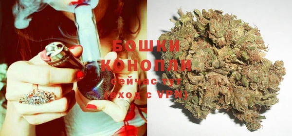 крисы Богданович